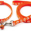 Paw & Print Design Pet Collar and Lead