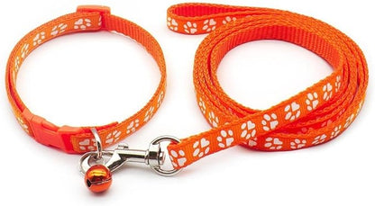 Paw & Print Design Pet Collar and Lead