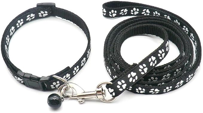 Paw & Print Design Pet Collar and Lead