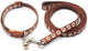 Paw & Print Design Pet Collar and Lead