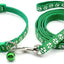 Paw & Print Design Pet Collar and Lead