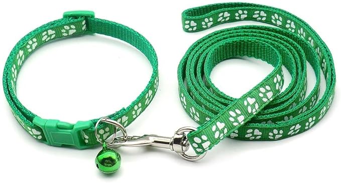 Paw & Print Design Pet Collar and Lead