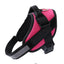 Reflective Padded Harness