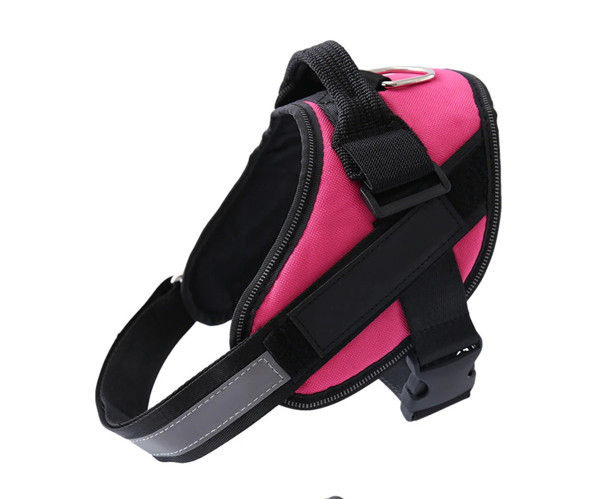 Reflective Padded Harness