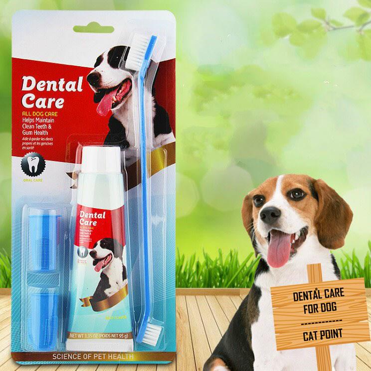 DENTAL CARE - Pet Toothpaste