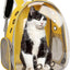 Transparent Pet Backpack Carrier