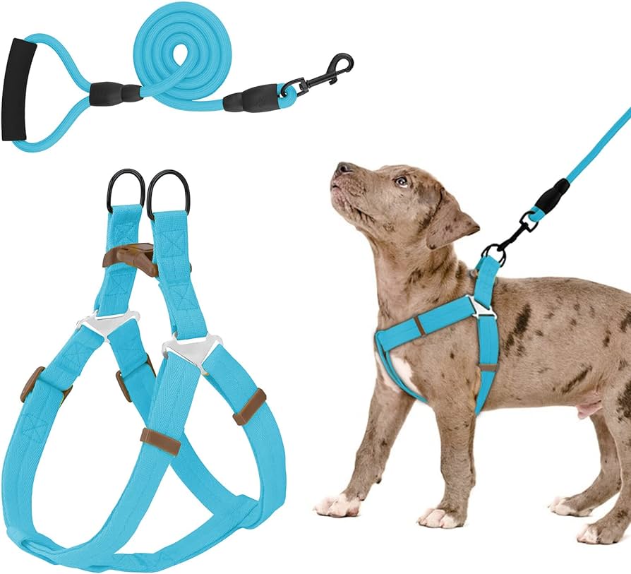 2 PCs. Adjustable Harness and Leash Set