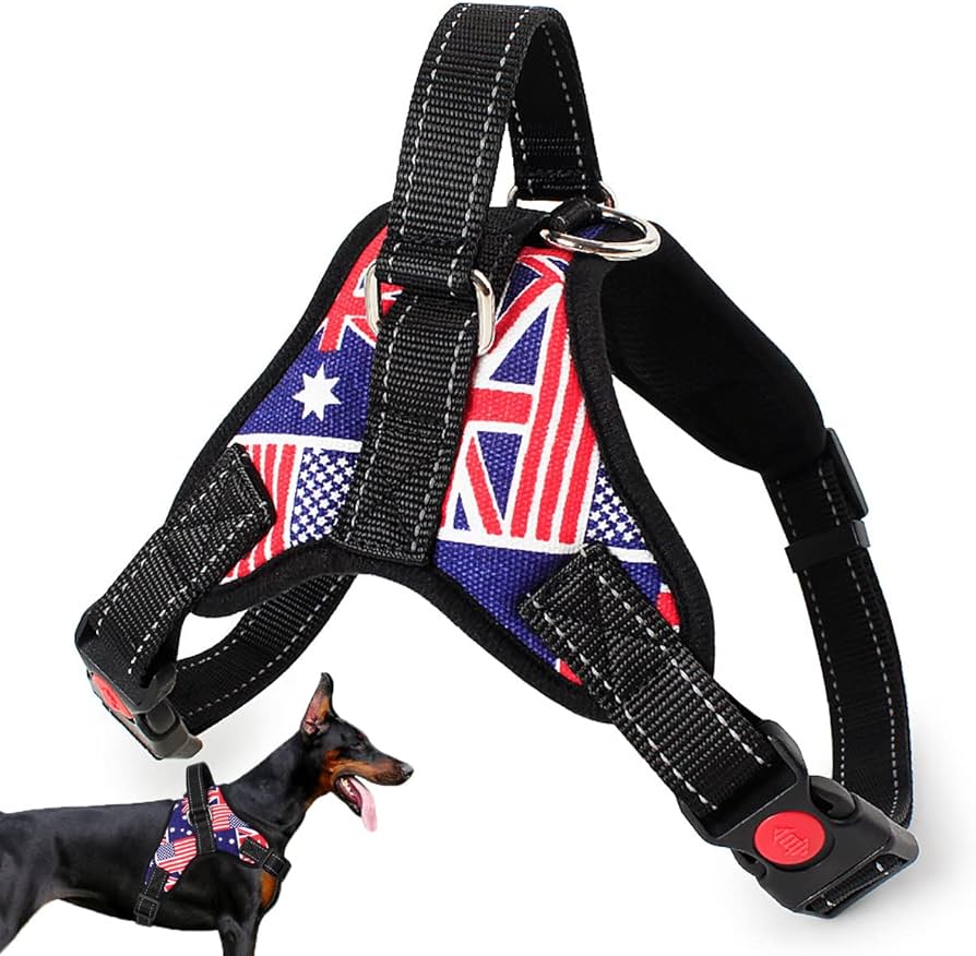 Reflective Padded Harness