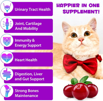 OIMMAL - 15 in 1 Multivitamin For Cats