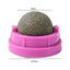Catnip Licking Ball