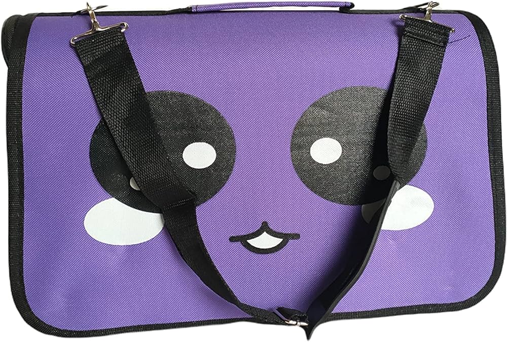 Character Pet Carrier Bag