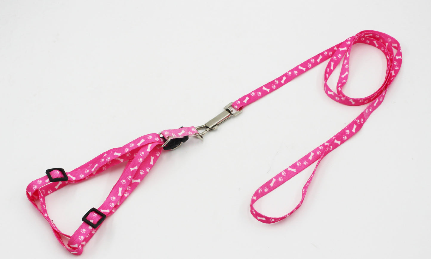 Bone Printed Harness and Lead