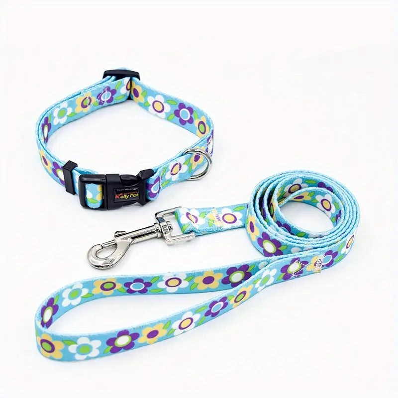 Colourful Dog Collar With Leash