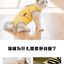 SUMMER CAT CLOTH