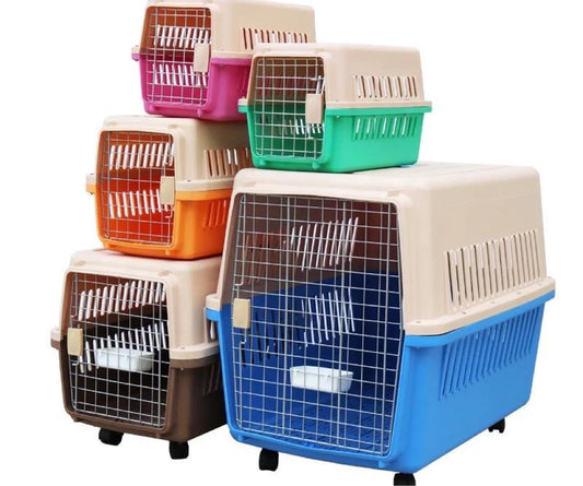Plastic Pet Crate Aviation Carrier