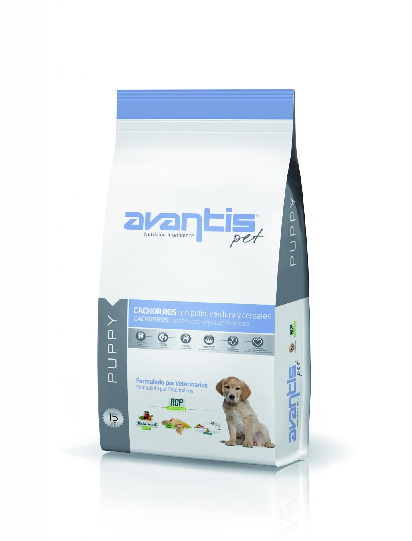 AVANTIS - Puppy