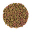 PETCOOL - Complete Meal For Adult Cats