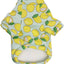 Fruit Shirt