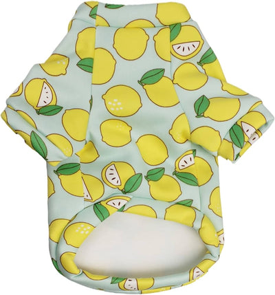 Fruit Shirt