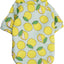 Fruit Shirt