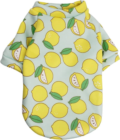 Fruit Shirt