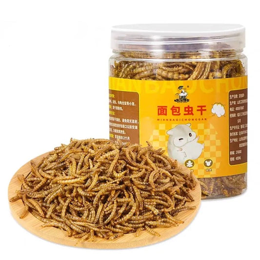 Dried Meal Worms