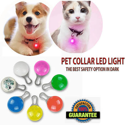 Led Clip-On Pet Safety Light