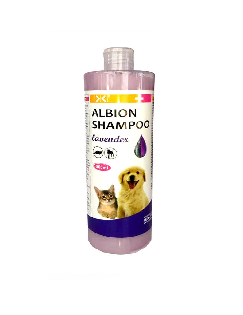 ALBION Shampoo