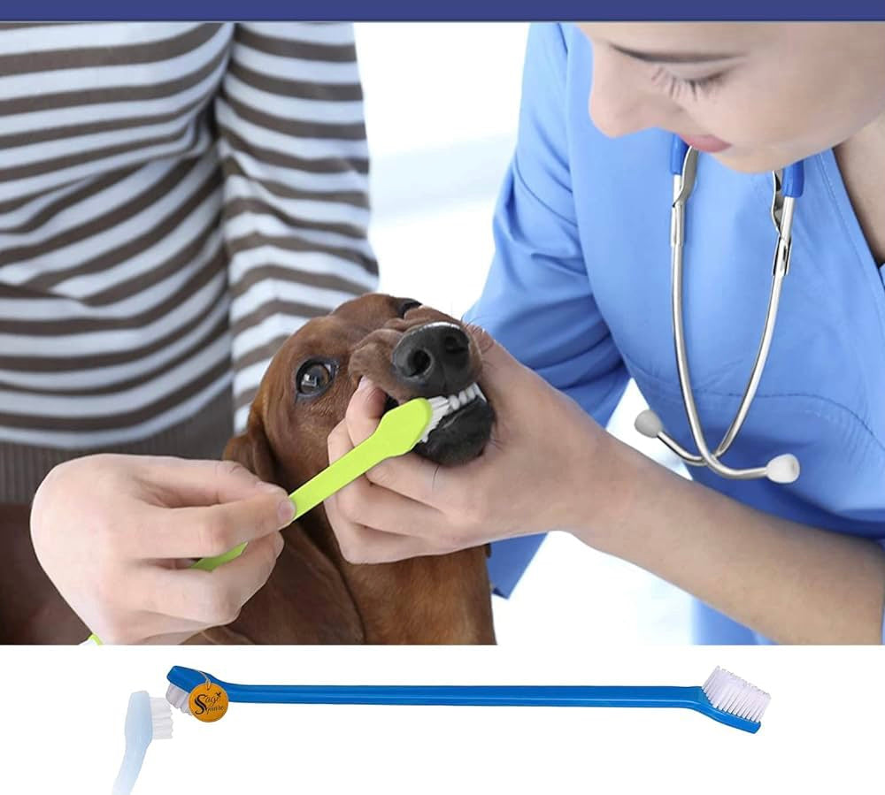 Two-Way Pet Toothbrush