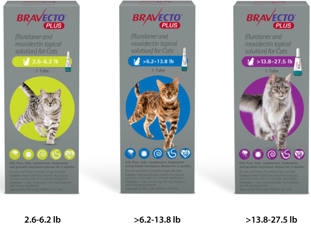 BRAVECTO - Plus for Cats