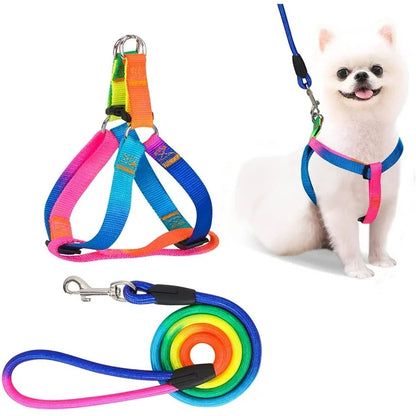 Rainbow Adjustable Harness and Leash