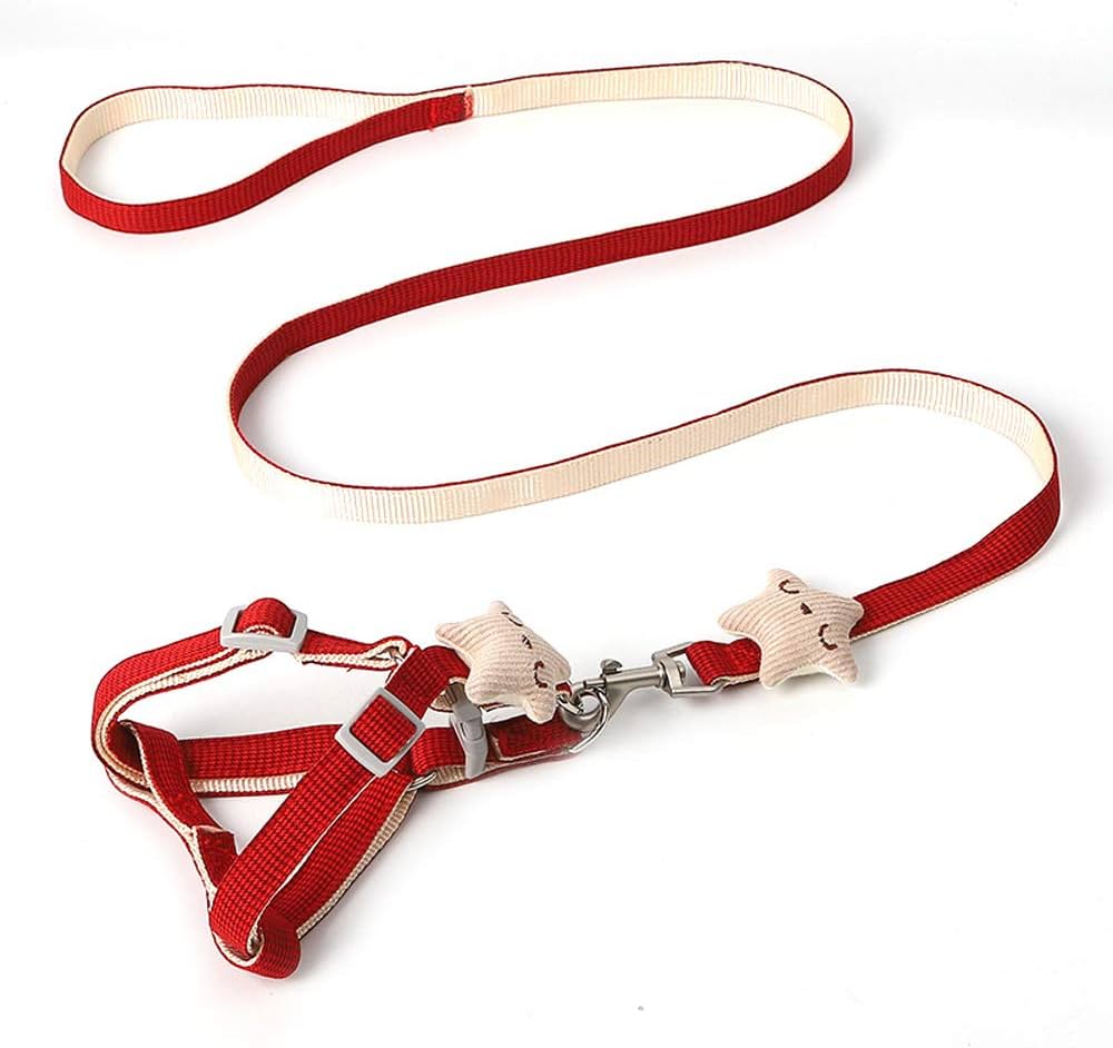 Houndstooth Star Fish Harness and Leash