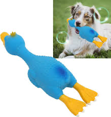 Squeaky Duck Toy