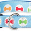 Colourful Dog Collar With Leash