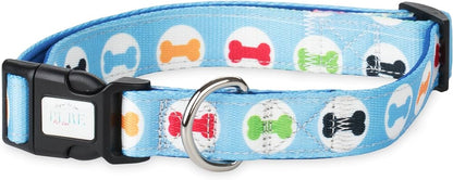 Colourful Dog Collar With Leash