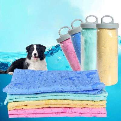 MASTI PET - Large Pet Absorbent Towel