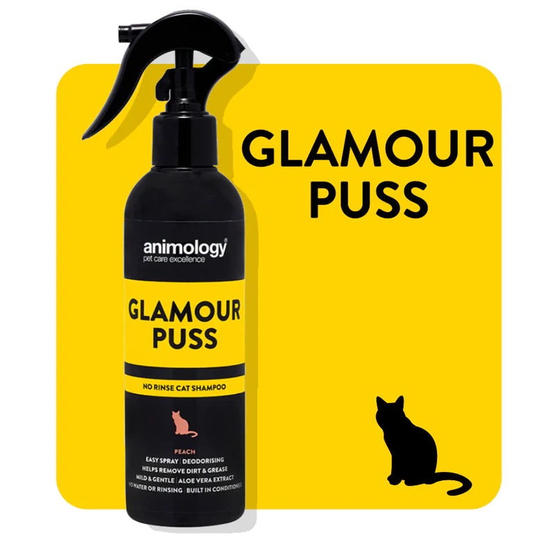 ANIMOLOGY - Glamour Puss