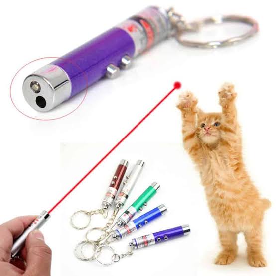 Cat Laser Pointer Toy