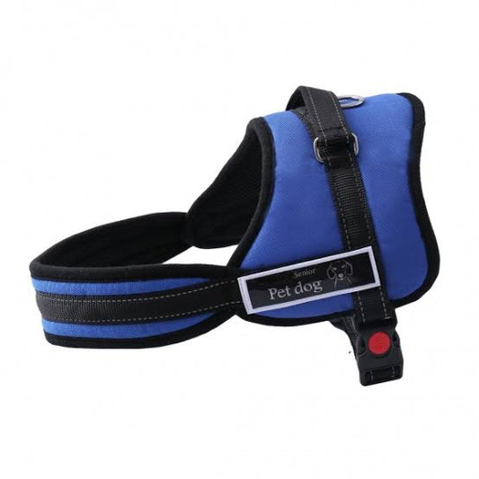 Senior Pet Dog Harness