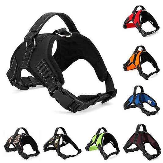 Reflective Padded Harness