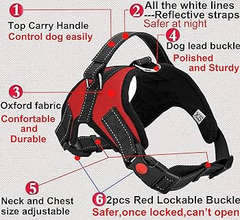 Reflective Padded Harness