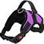 Reflective Padded Harness