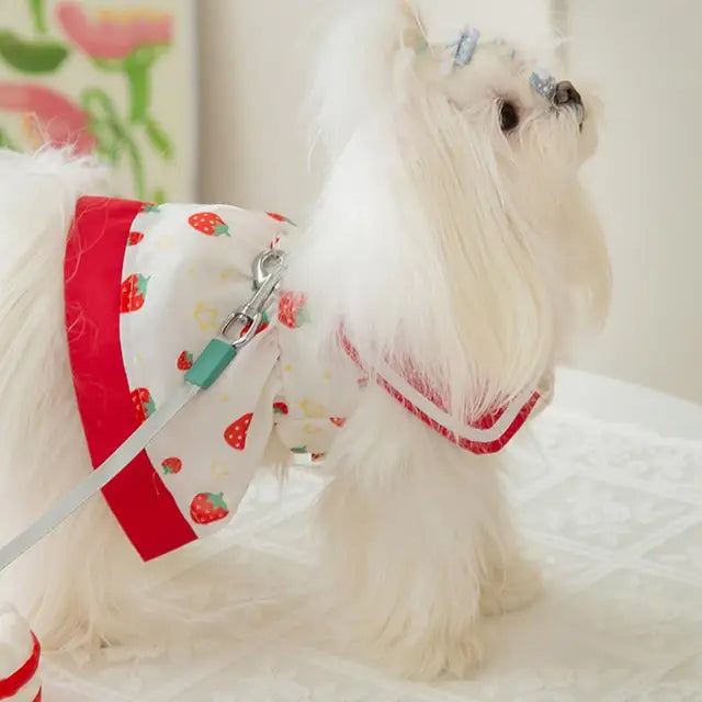 Sweet Strawberry Collar Dress