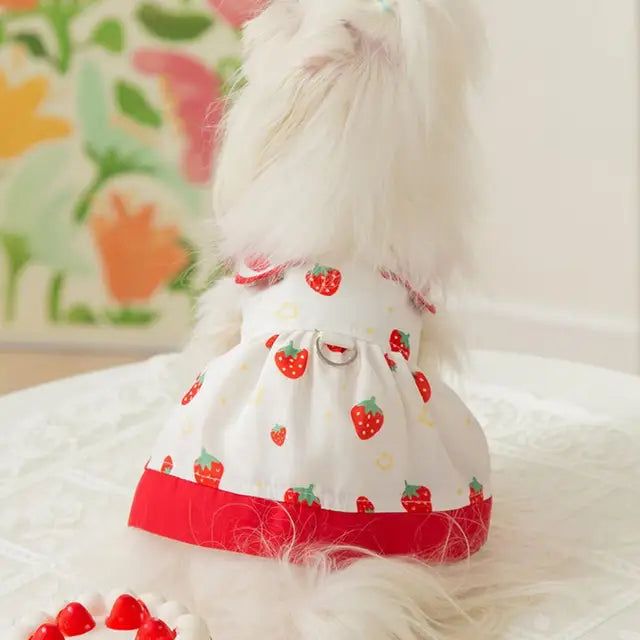 Sweet Strawberry Collar Dress