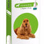 BRAVECTO - For Dogs