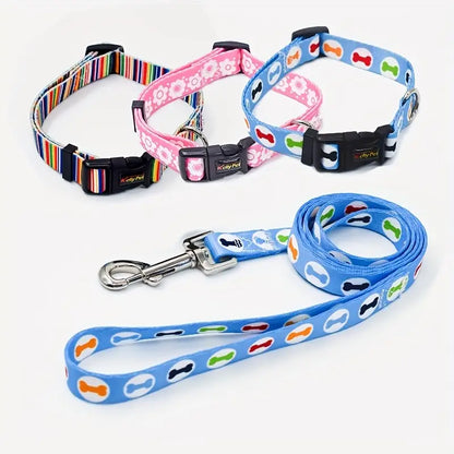 Colourful Dog Collar With Leash