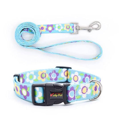 Colourful Dog Collar With Leash