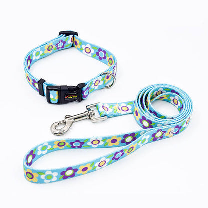 Colourful Dog Collar With Leash