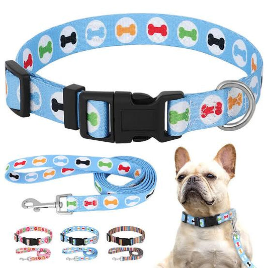Colourful Dog Collar With Leash