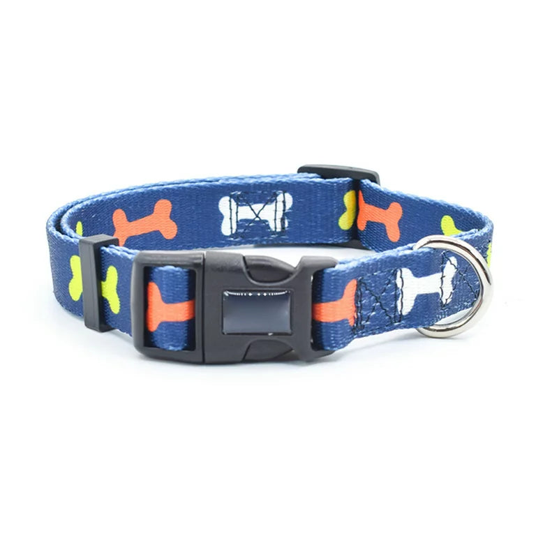 Colourful Dog Collar With Leash